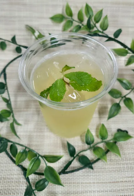 茶くてる スタンダード